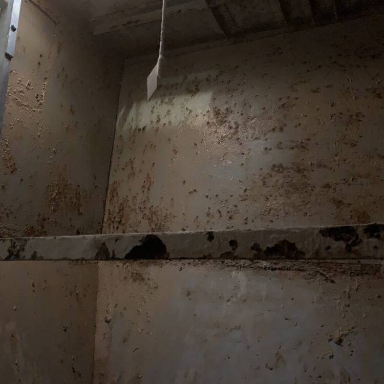 Sabbiatura e verniciatura Interno silos